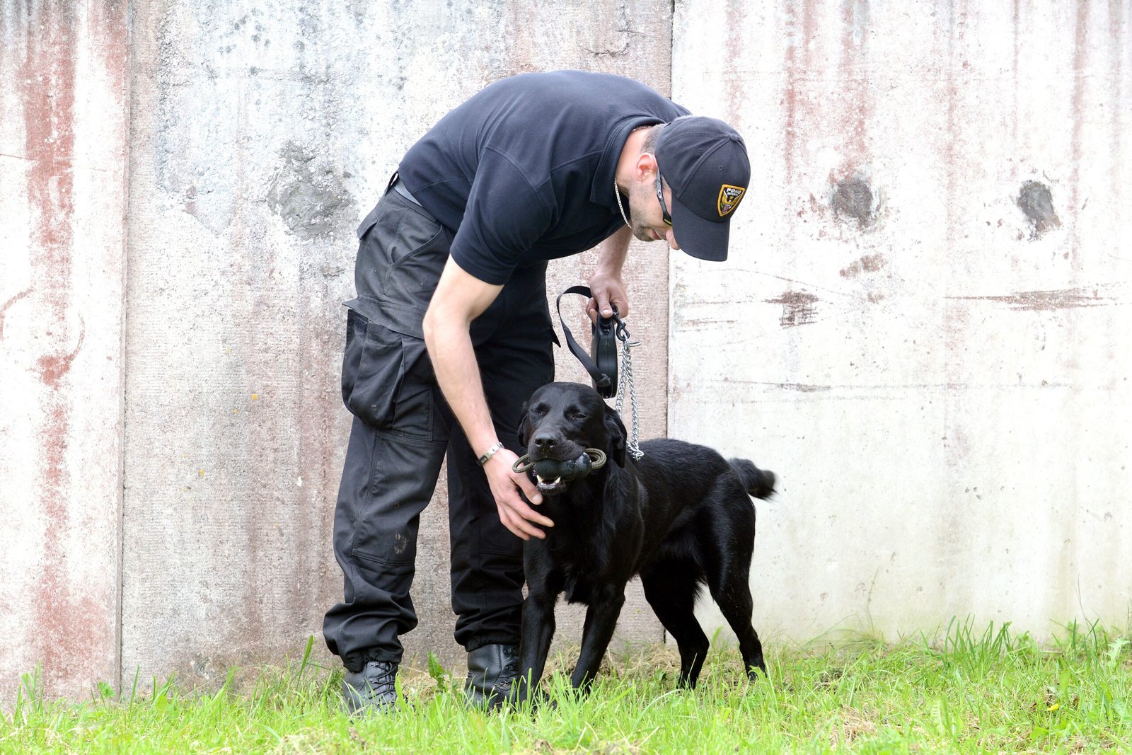 The Role of Positive Reinforcement in Training (image credits: wikimedia)