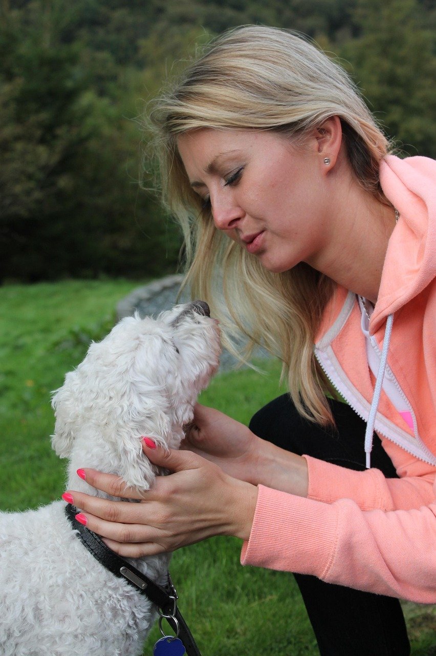 10 Sure Signs of Guilt in Naughty Dogs and How They Ask Forgiveness