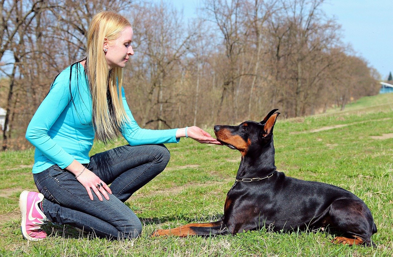 Building a Strong Bond with Your Puppy (image credits: pixabay)