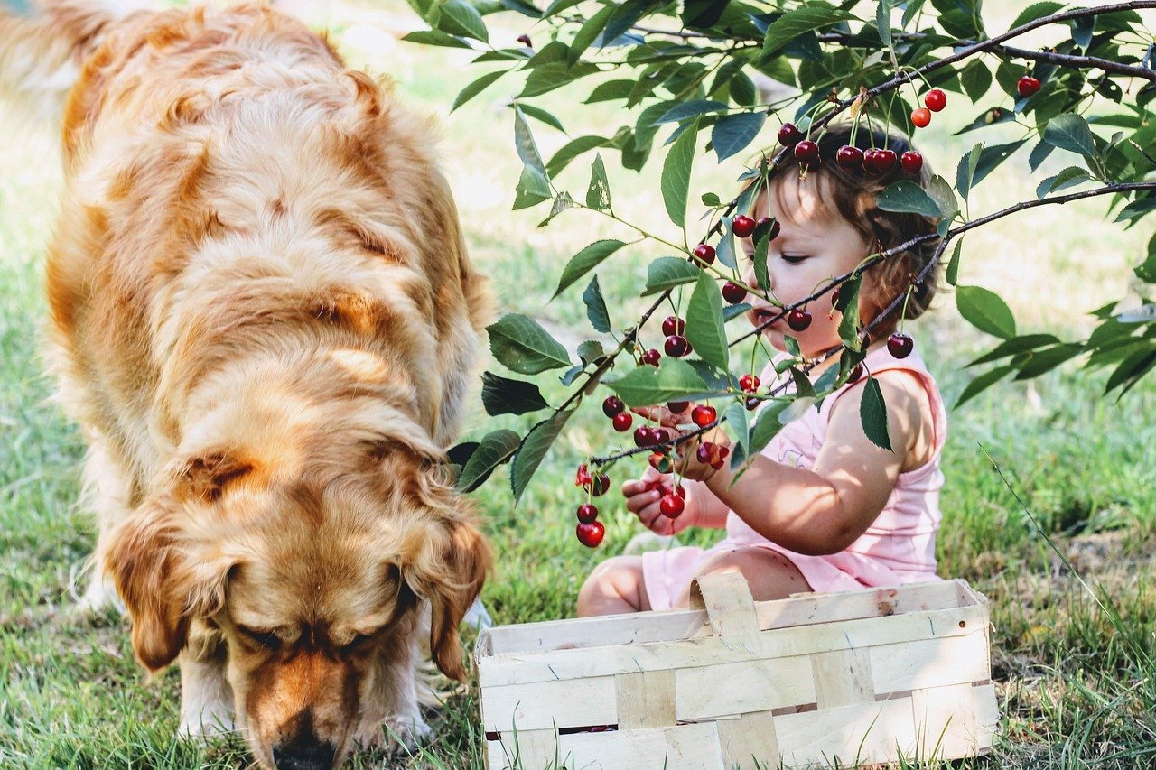 Socialization and Compatibility with Children (image credits: pixabay)