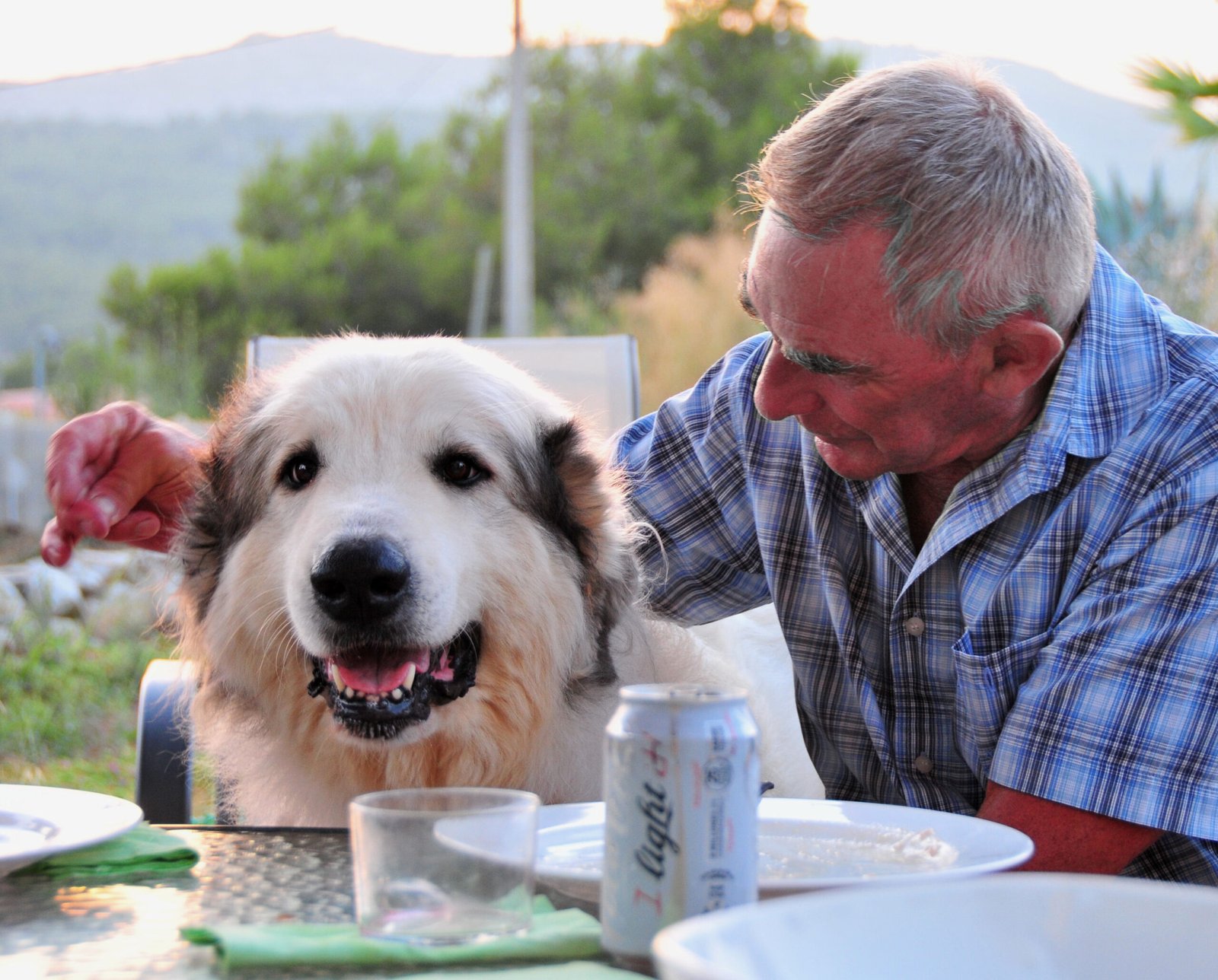 2. Gentle with Family (image credits: wikimedia)