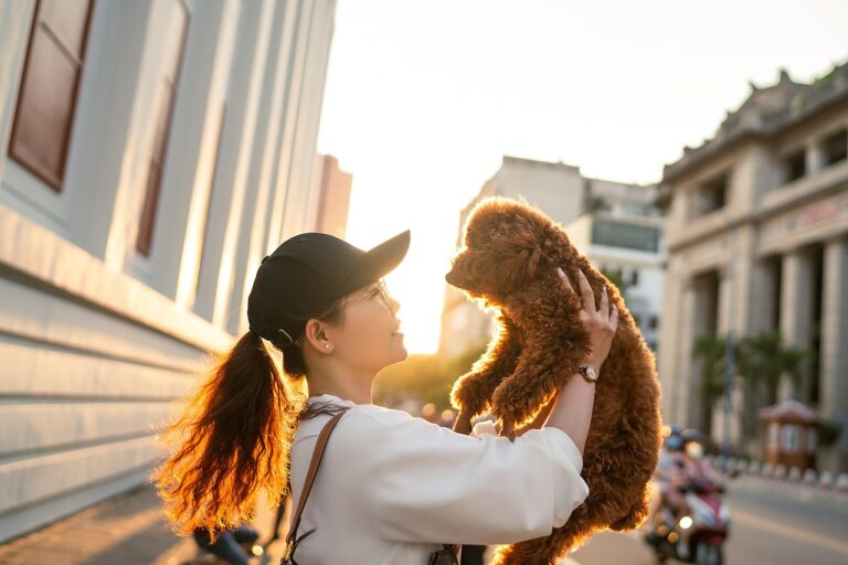10 Tips on How to Keep a Dog Happy When Living in the City