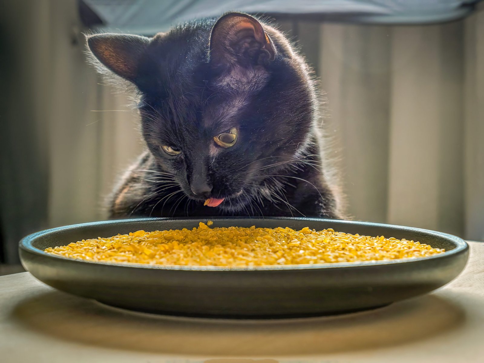 Overfeeding or Underfeeding (image credits: wikimedia)