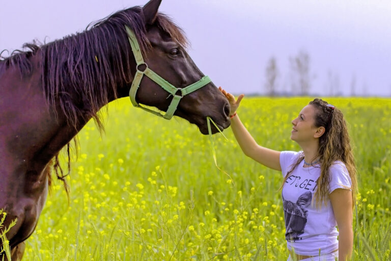 10 Horse Breeds That Can Be Aggressive and How To Manage Them