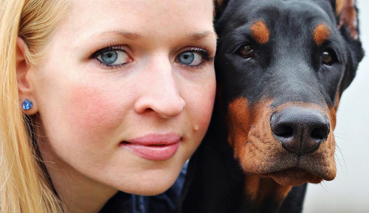 Doberman Pinscher: The Elegant Sentinel (image credits: pixabay)