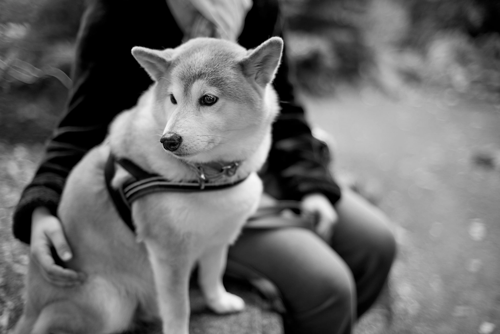 The Feeling of a Warm Presence (image credits: rawpixel)