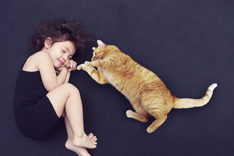 8 Signs of Love and Affection in Cats that Often Go Unnoticed