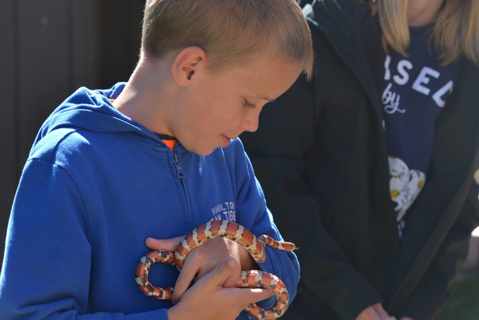 The Joys of Snake Ownership (image credits: wikimedia)