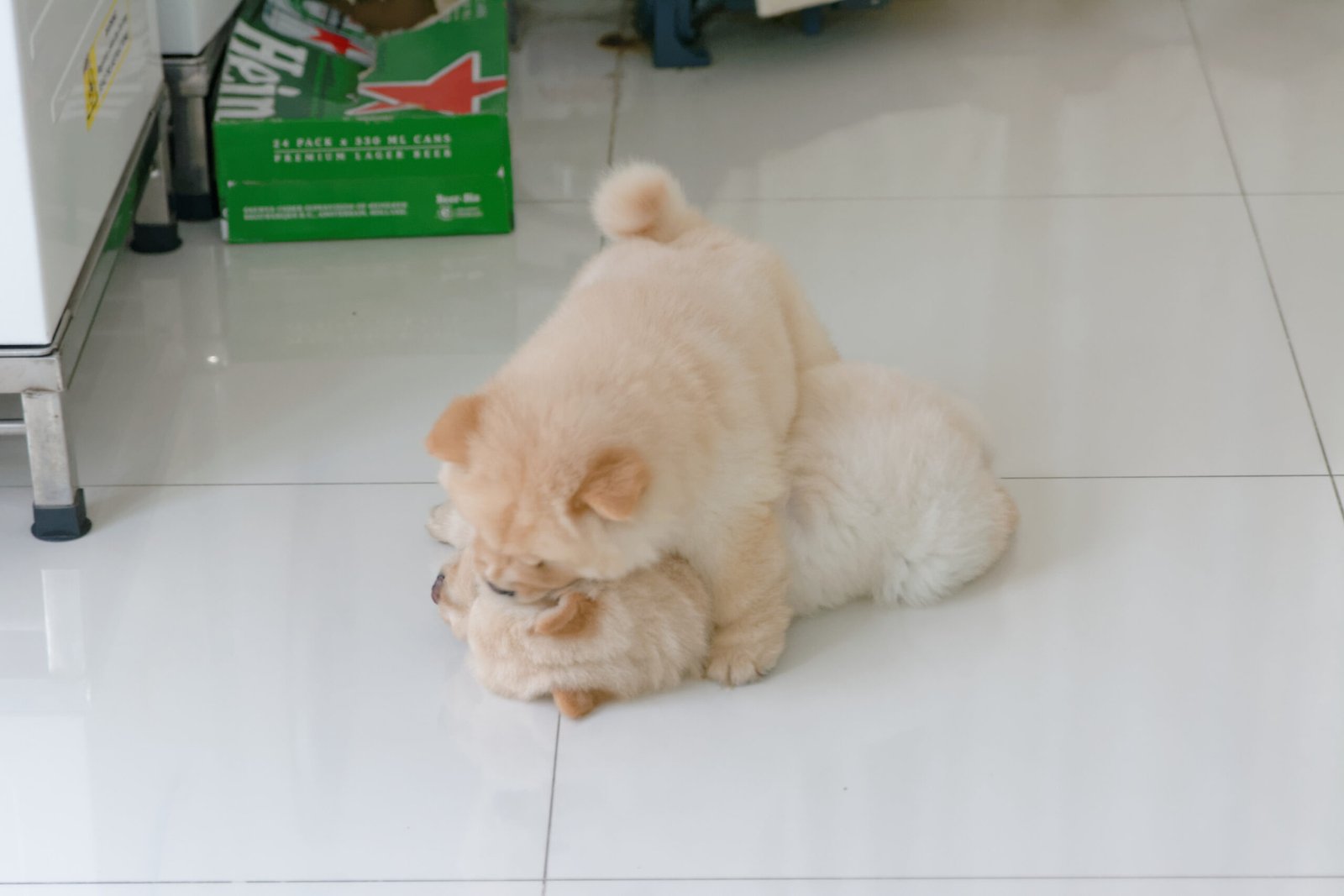 Creating a Safe Environment at Home (image credits: wikimedia)