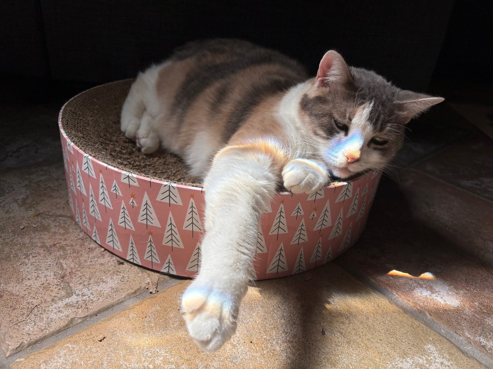 Recognizing Temporary vs. Permanent Changes (image credits: wikimedia)