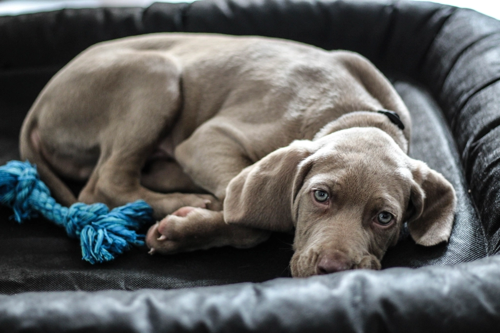 The Role of Context in Understanding Behavior (image credits: rawpixel)