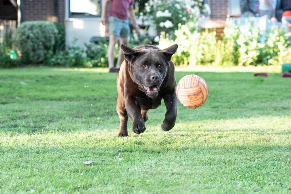 Living in the Moment (image credits: rawpixel)