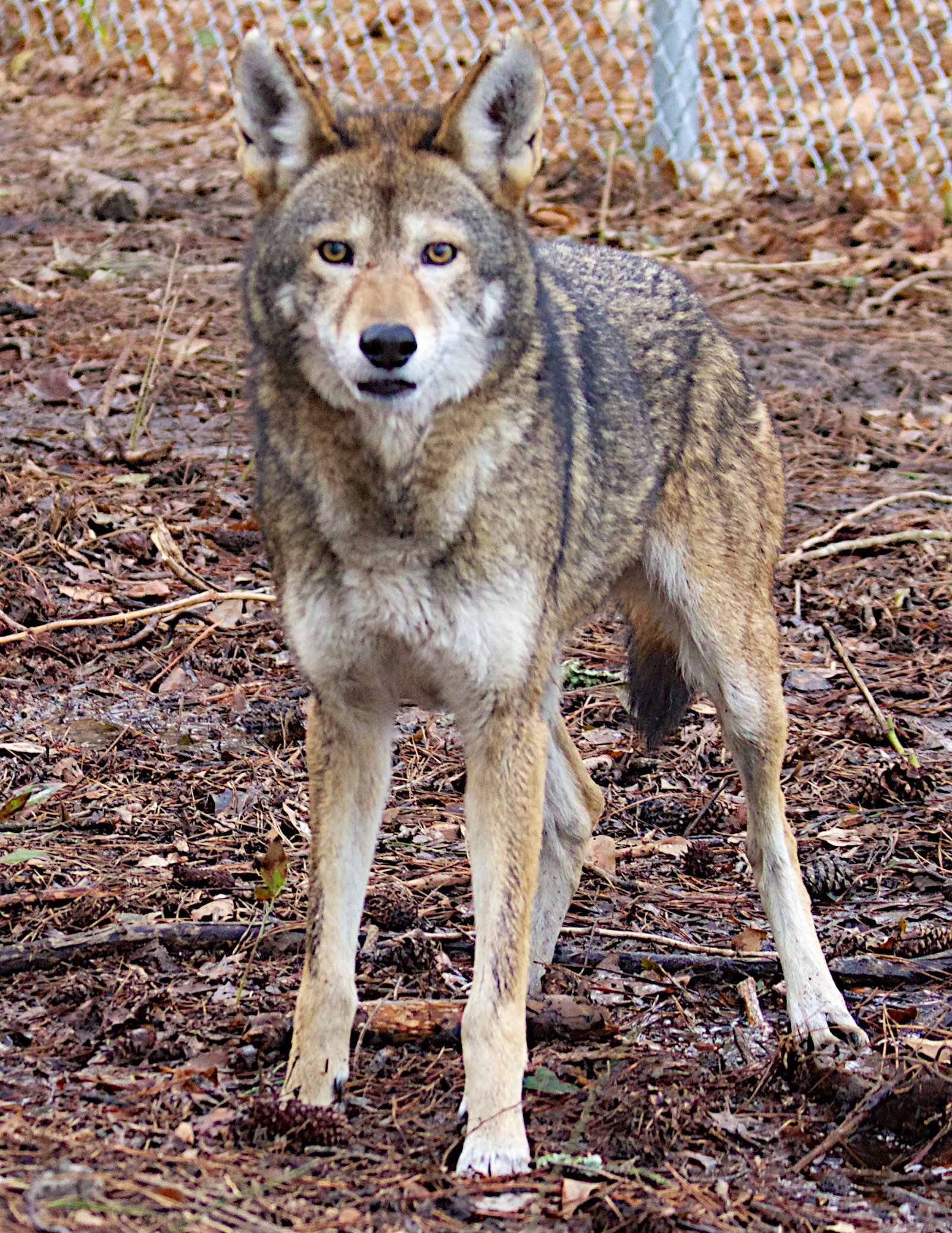 Educate Yourself and Your Neighbors (image credits: wikimedia)
