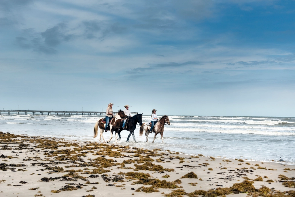 The Joy of Shared Experiences (image credits: rawpixel)