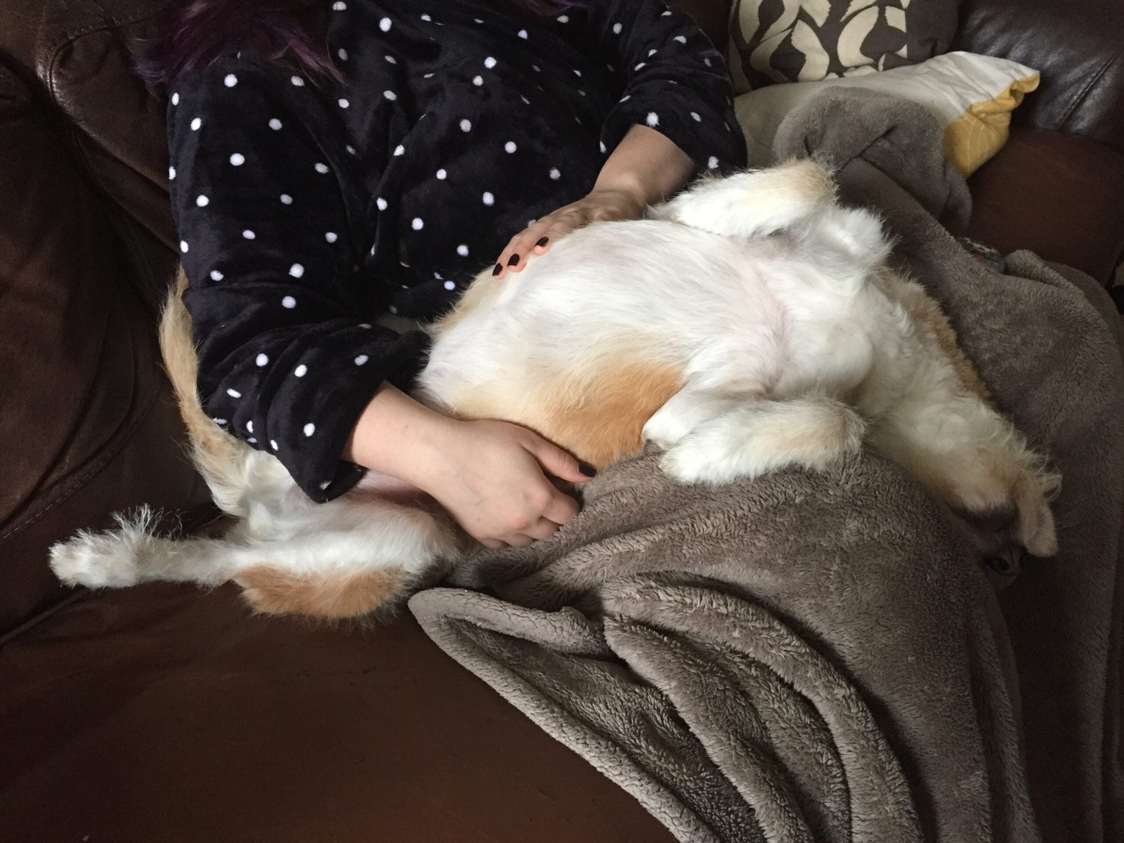 10. Snuggling Close on Cold Nights (image credits: wikimedia)