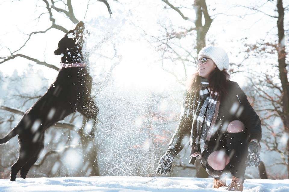 13. Always Ready for Adventure (image credits: stocksnap)