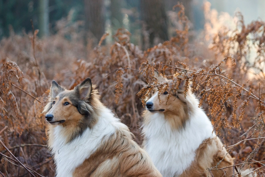14. Attentive Listening (image credits: rawpixel)