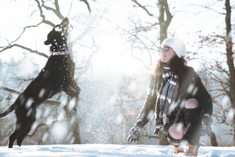 15 Dog Actions That Prove They’re Your Ride-or-Die Companion