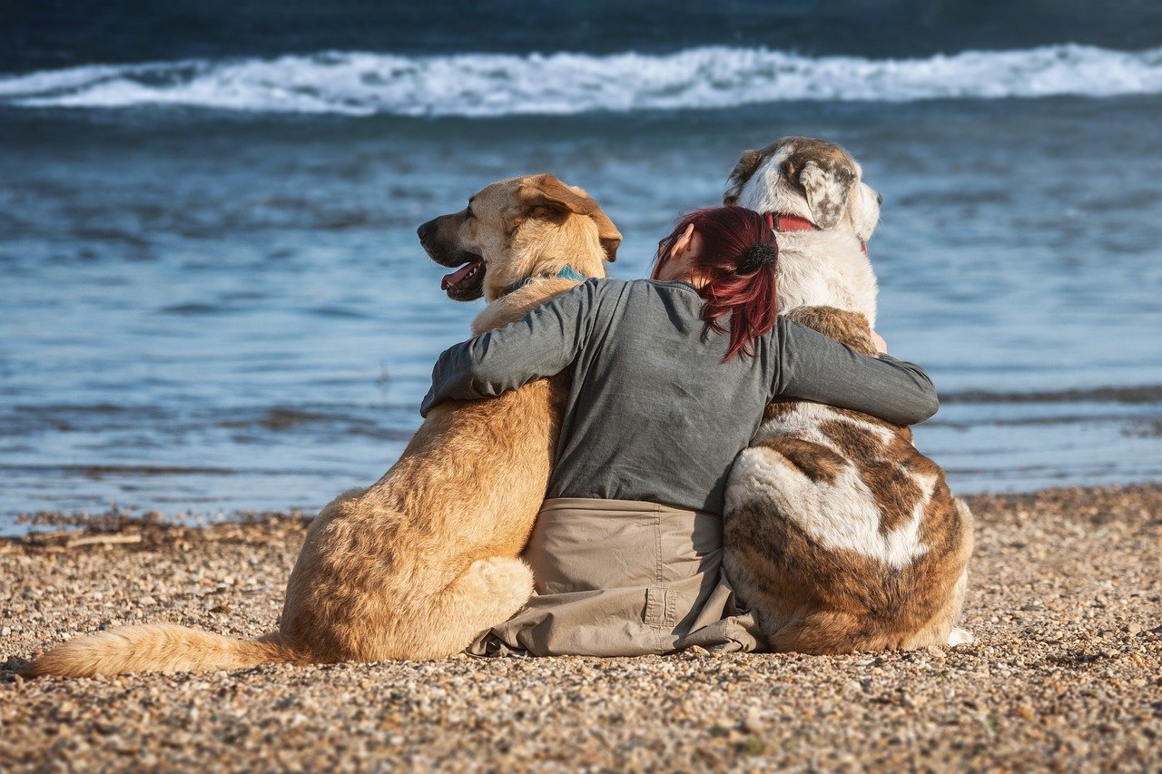 12. Your Dog Trusts You Completely (image credits: pixabay)