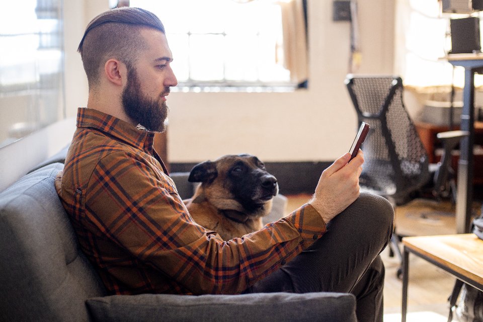 Listening and Responding to Your Dog (image credits: stocksnap)
