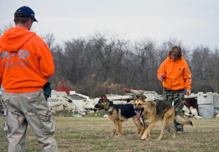 9. Serving in Search and Rescue Operations