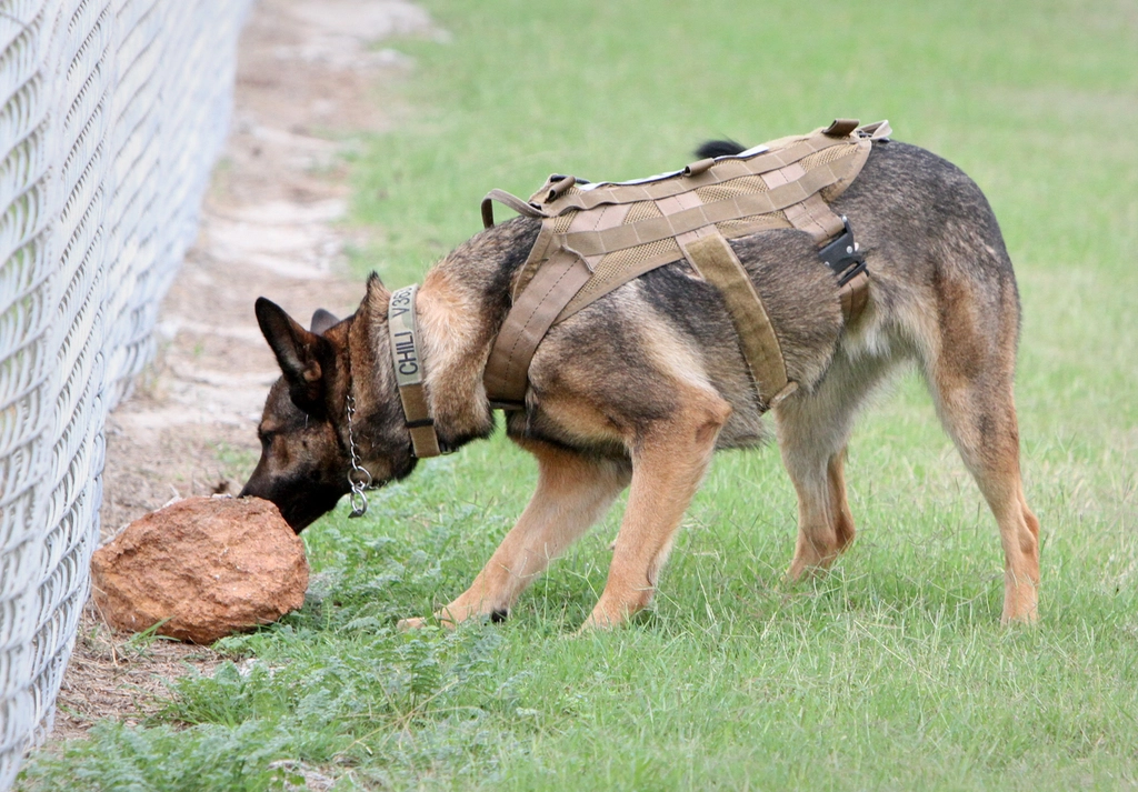Focus and Concentration (image credits: rawpixel)