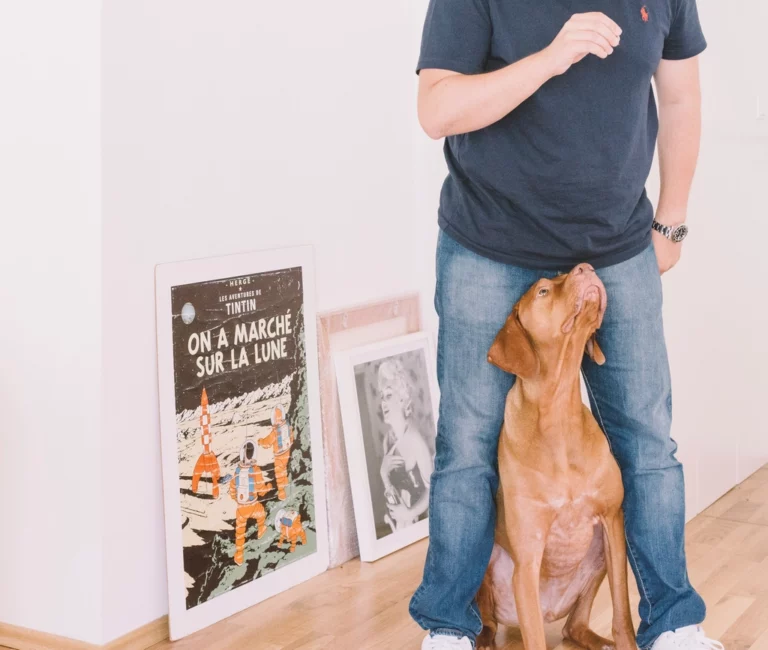 15 Ways Your Dog’s Quirks Make Them Your Perfect Partner
