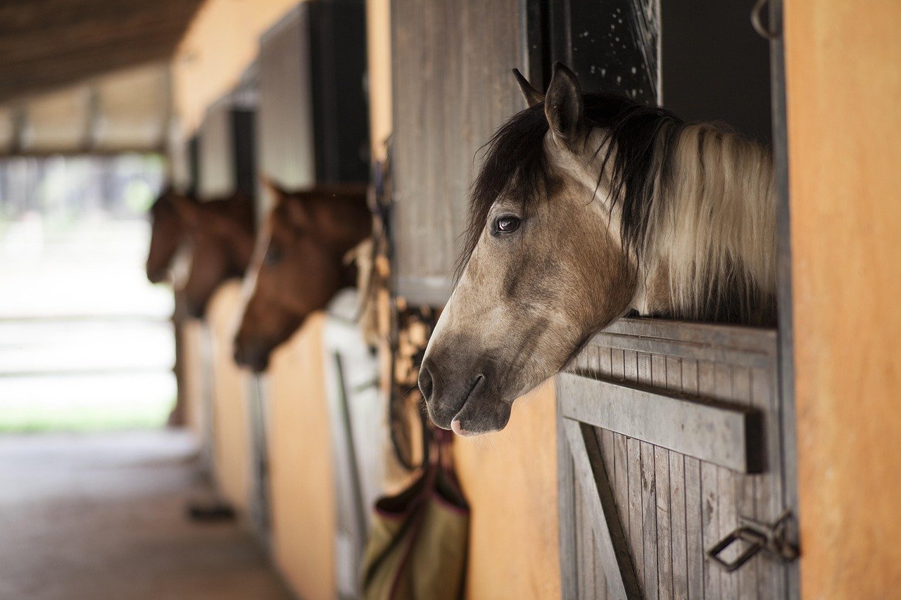 The Stability of Stables (image credits: pixabay)