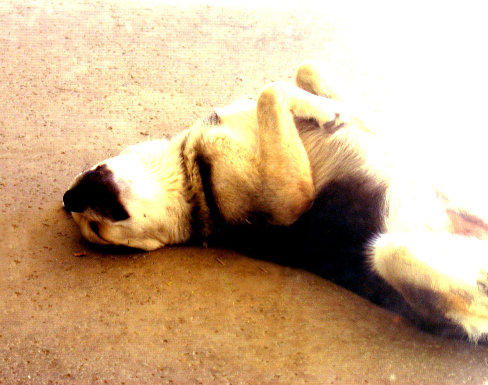 Sleeping Positions (image credits: wikimedia)