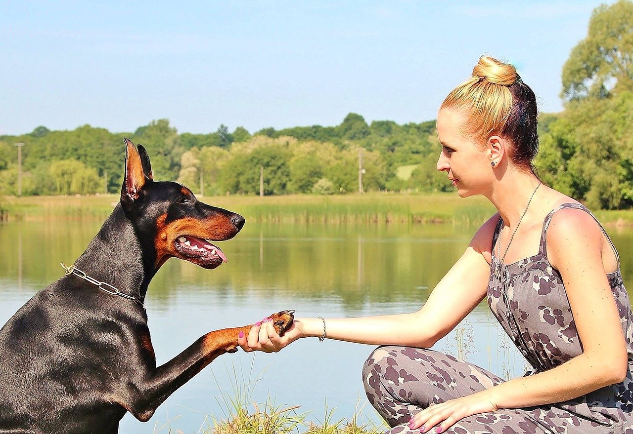 15 Quirky Dog Traits That Reveal Their True Personality