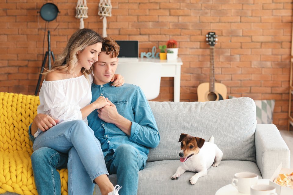 8. Sharing the Couch (image credits: stocksnap)