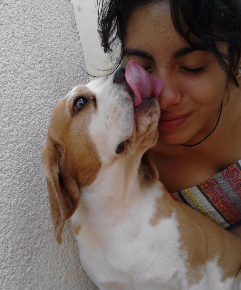 9. Licking Your Face (image credits: wikimedia)