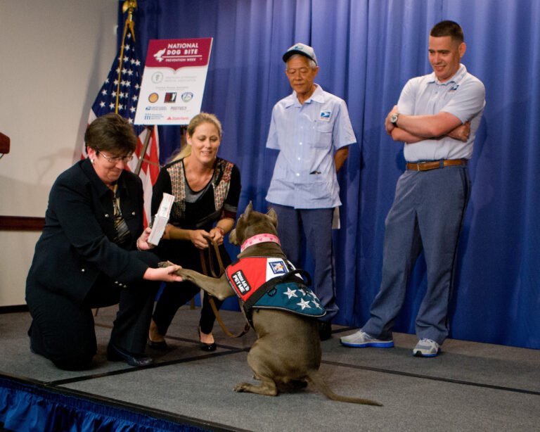 Breed Bans Work: Do Pit Bulls and Rottweilers Belong in Suburbia?
