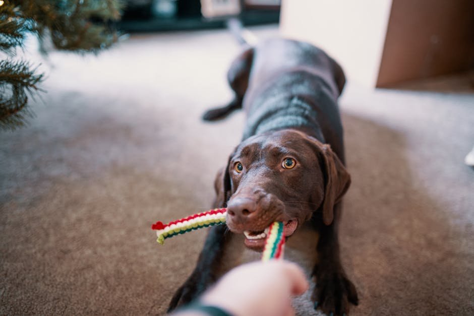 11. Rough Play: Not Always Welcome (image credits: pexels)