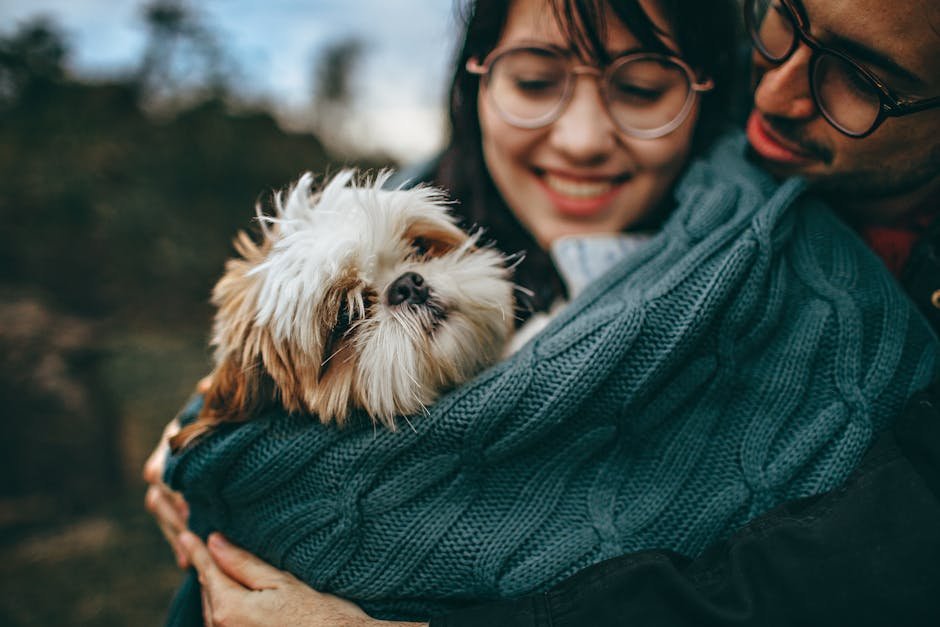 2. The Lap Lounger (image credits: pexels)