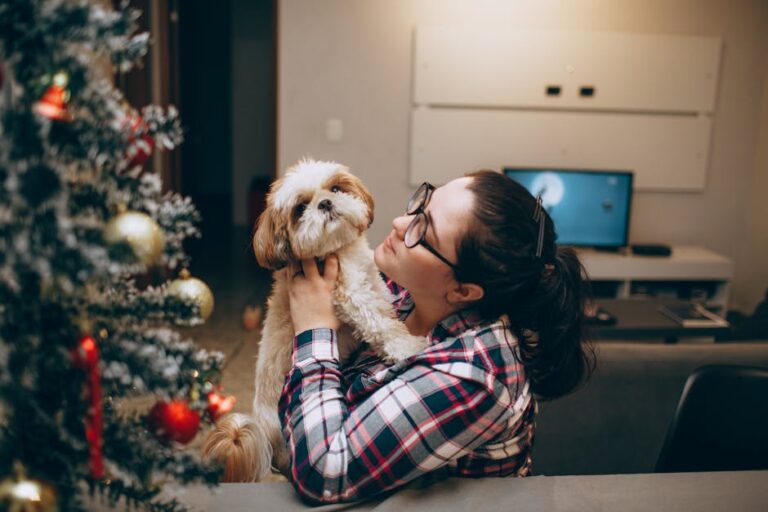 10 Shih Tzu Signals That Show They’re Your Lap-Loving Shadow
