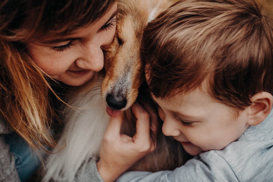 19. The Gentle Collie (image credits: pexels)
