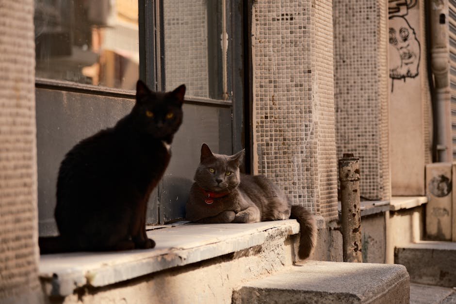 7. Similar Social Tendencies (image credits: pexels)