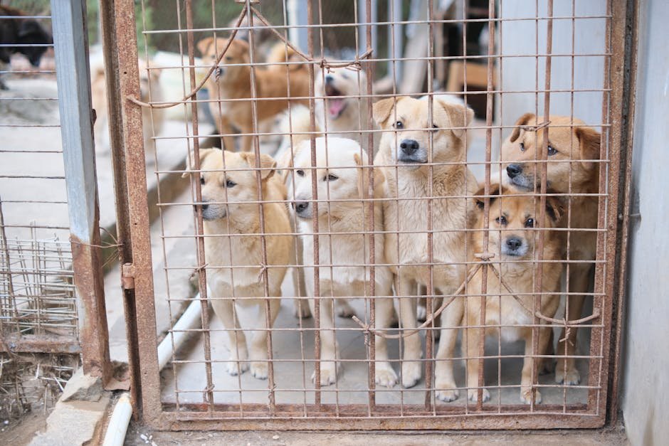 Overcrowding: A Common Challenge (image credits: pexels)