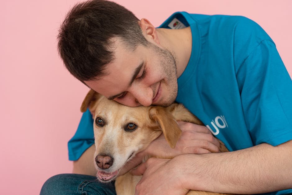 Increased Pressure on Adoption Processes (image credits: pexels)