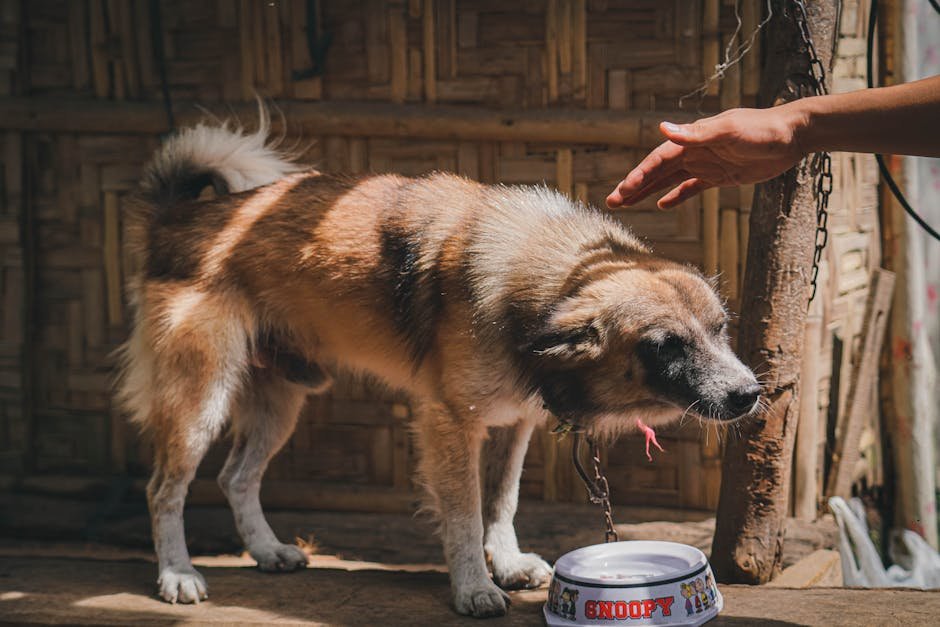 Potential for Increased Neglect Cases (image credits: pexels)