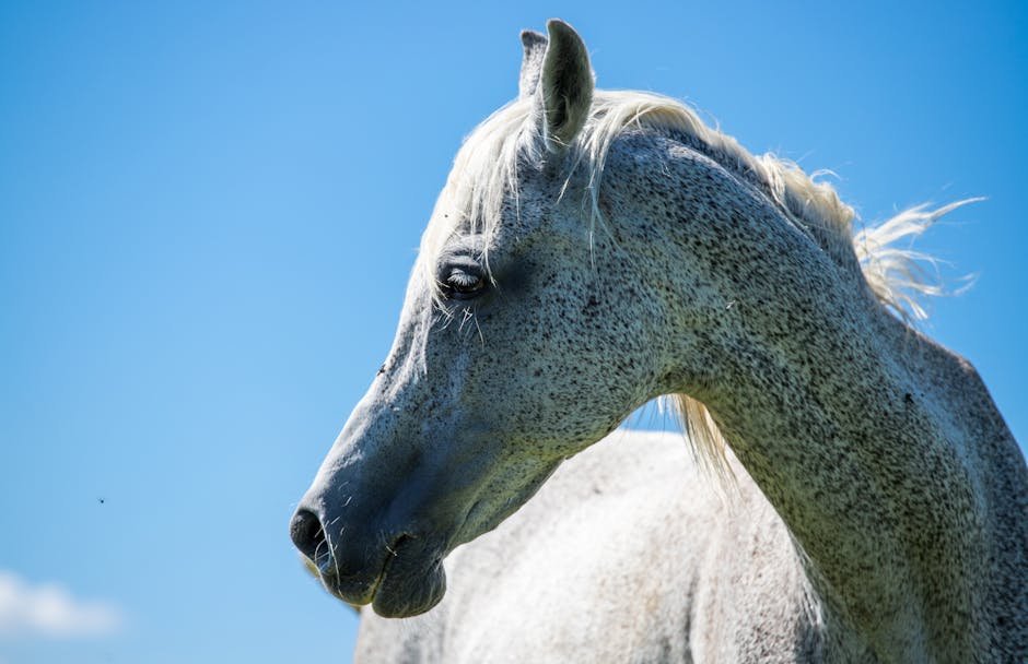 2. Distinctive Head Shape (image credits: pexels)