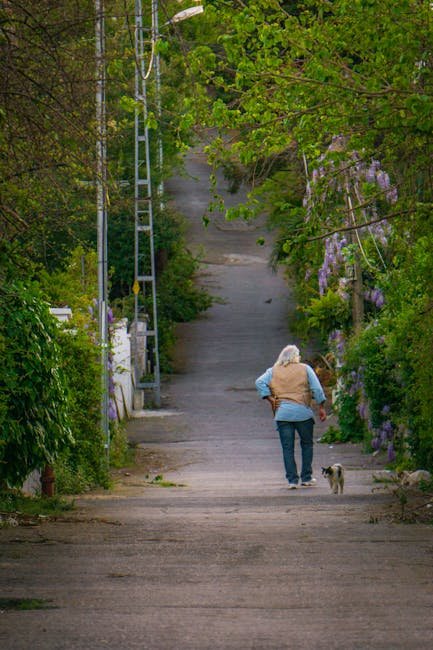 Following You Around: A Silent Companion (image credits: pexels)