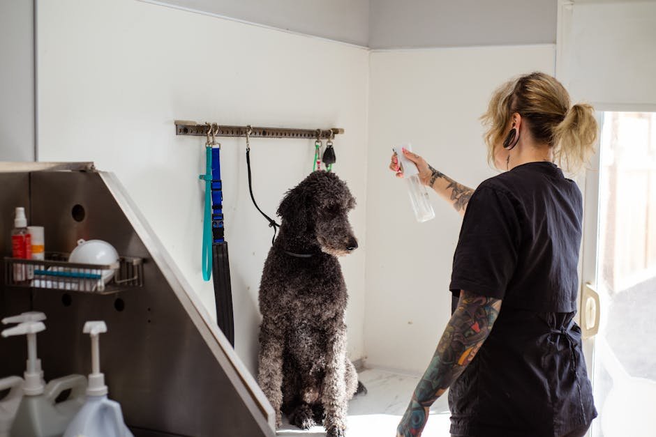 12. Low Maintenance Grooming (image credits: pexels)