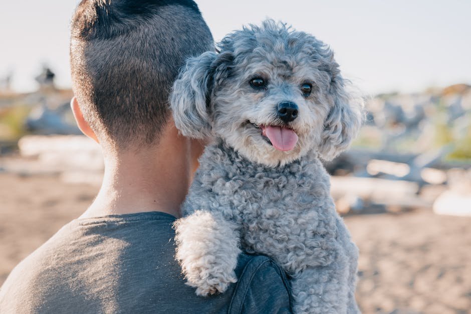 15. Affectionate and Loving (image credits: pexels)