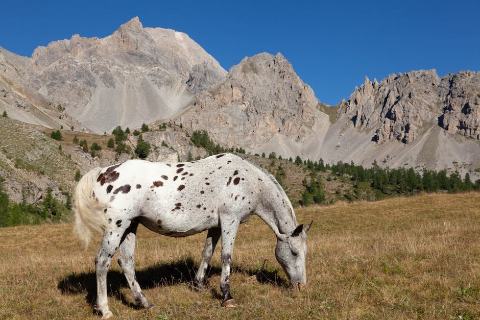 Distinctive Spotted Coats (image credits: pexels)