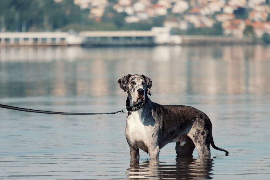 Patient and Understanding (image credits: pexels)