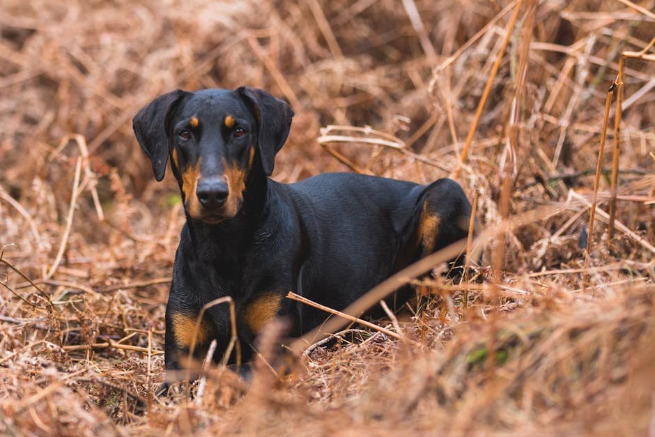 The Impact of Environment on Protective Behavior (image credits: pexels)