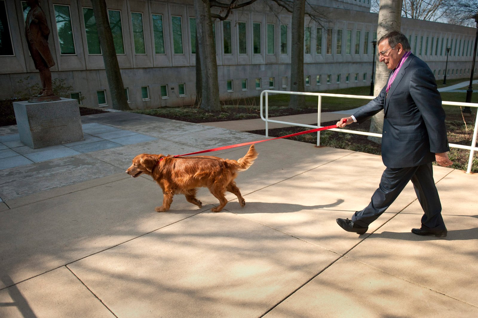 Encouragement to Stay Active (image credits: wikimedia)