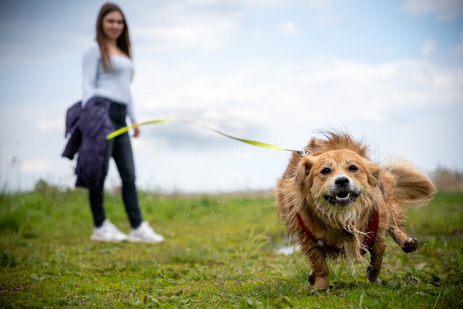 The Joy of Training and Learning (image credits: pexels)